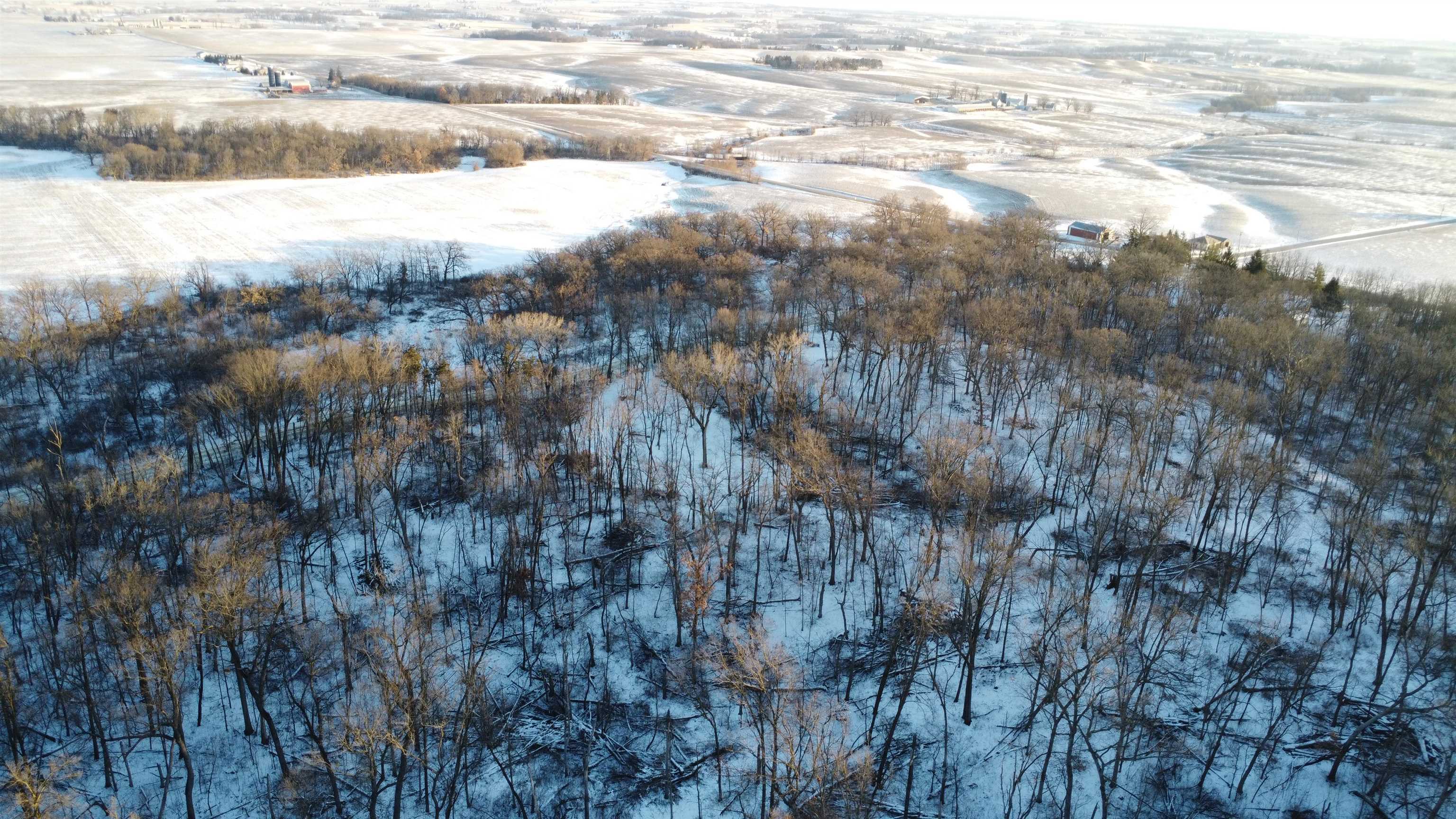 9.85-acres East Airport Road Stockton, IL 61085 - Photo 2 of 25