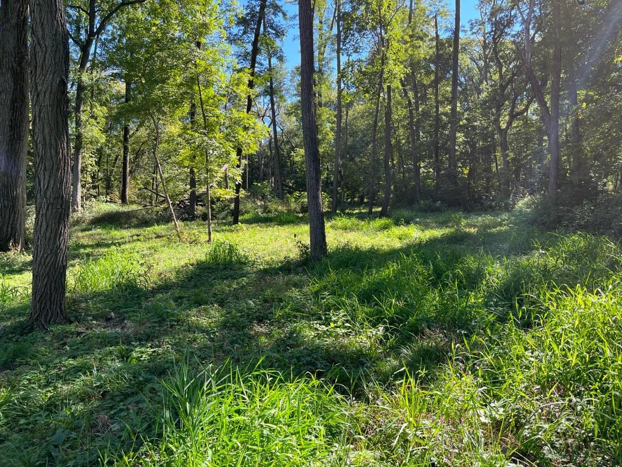 9.85-acres East Airport Road Stockton, IL 61085 - Photo 25 of 25