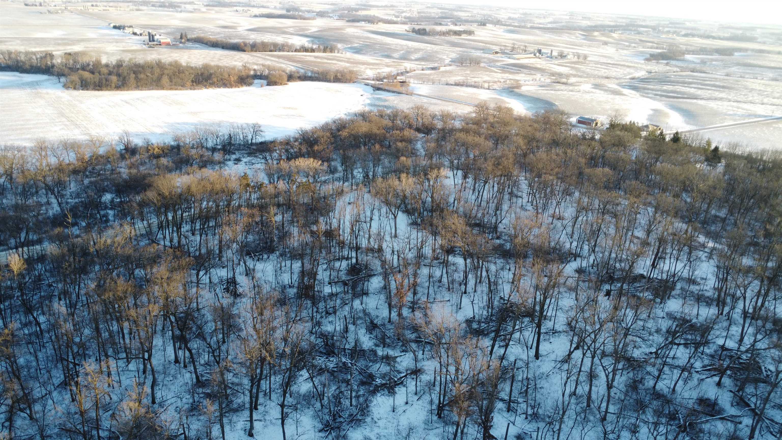 9.85-acres East Airport Road Stockton, IL 61085 - Photo 3 of 25