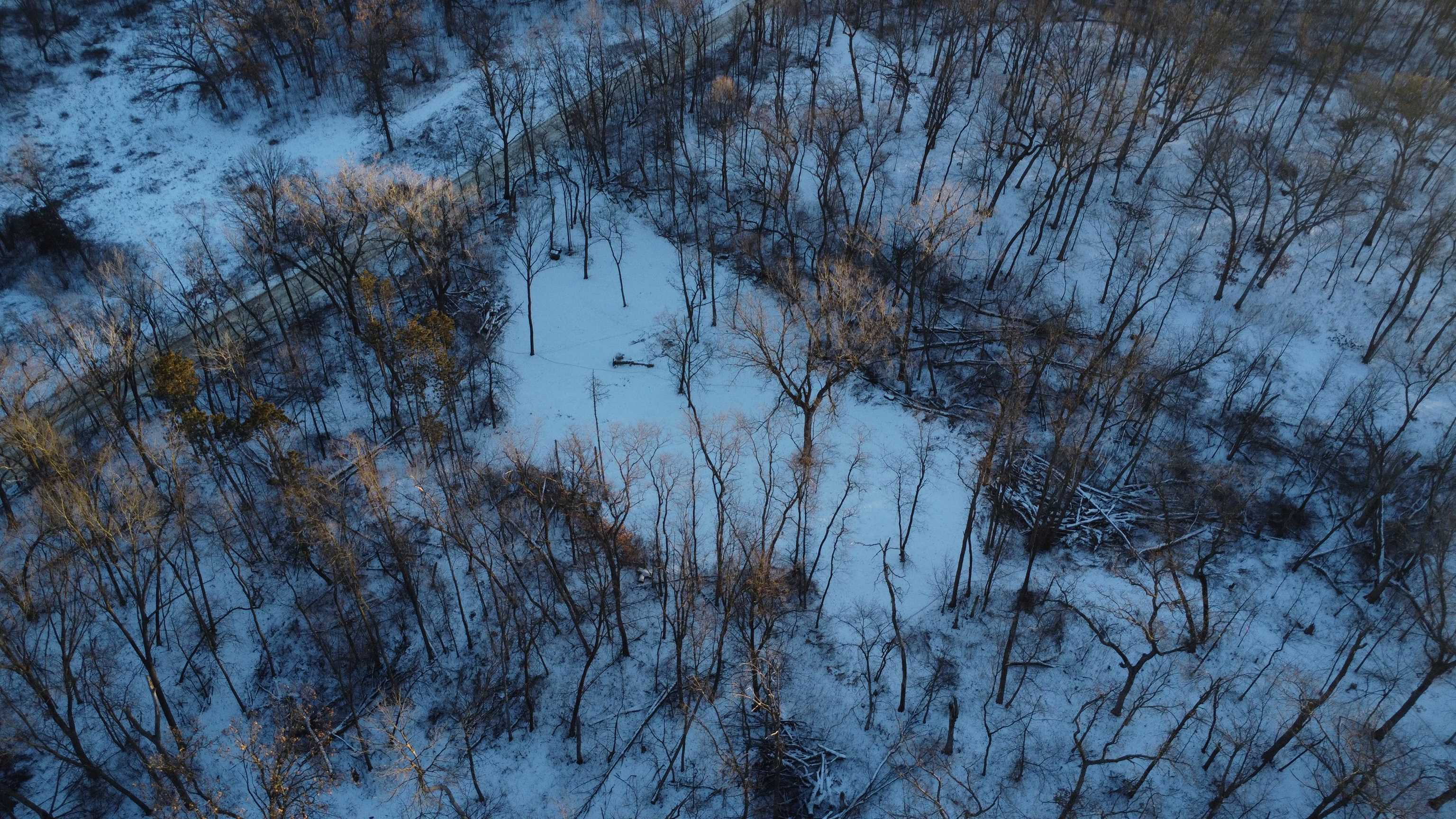 9.85-acres East Airport Road Stockton, IL 61085 - Photo 4 of 25