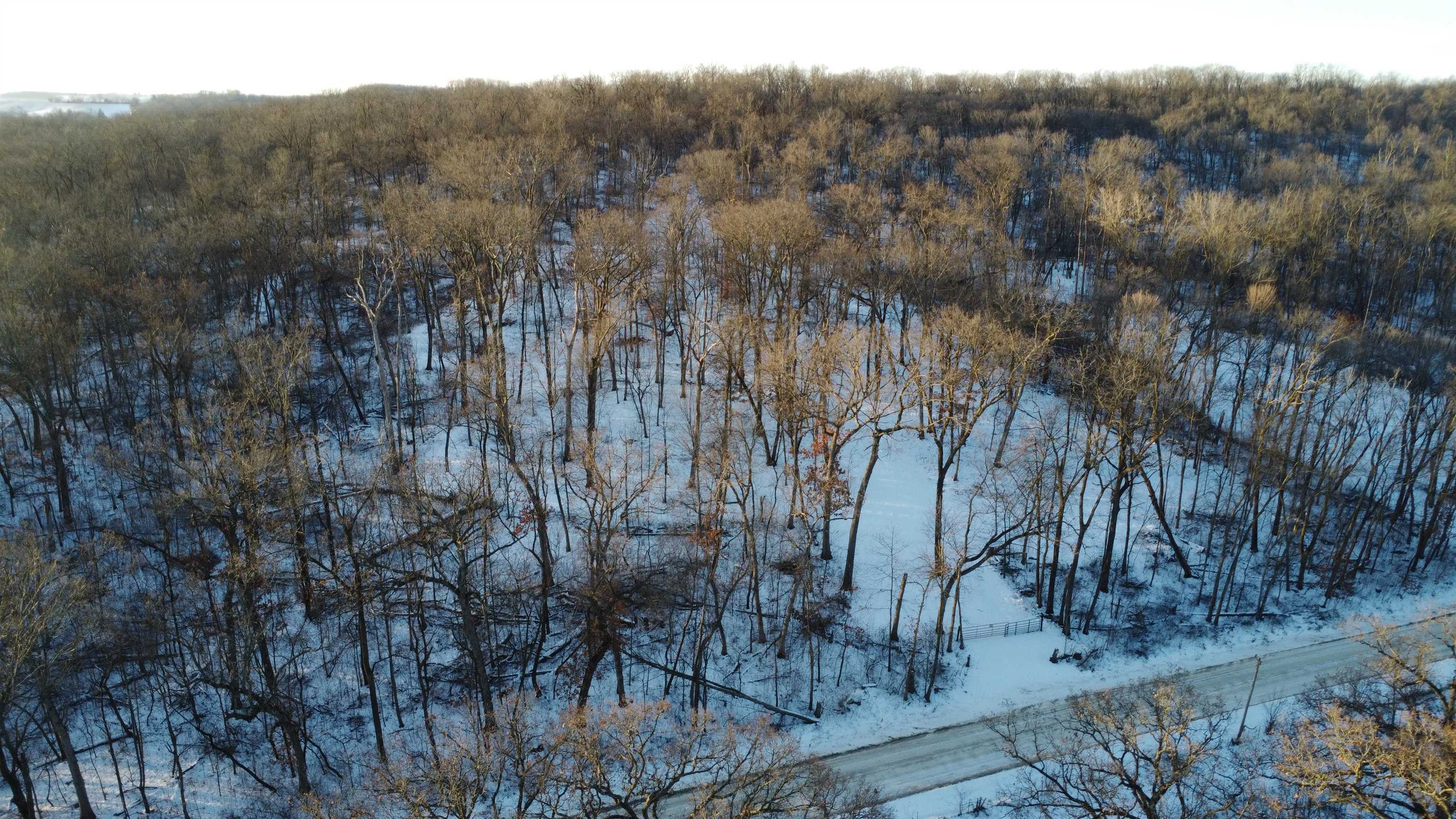 9.85-acres East Airport Road Stockton, IL 61085 - Photo 5 of 25