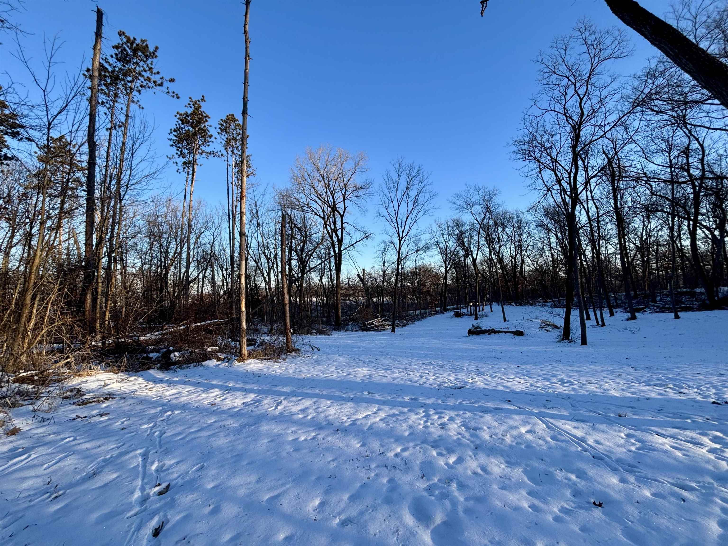 9.85-acres East Airport Road Stockton, IL 61085 - Photo 10 of 25
