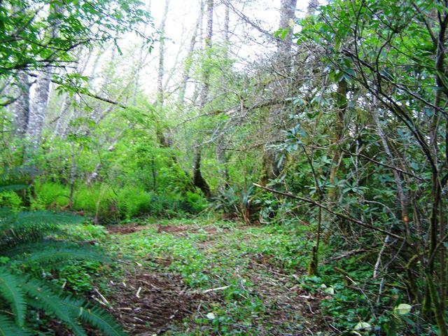Tl# 1801 Doughty Road Bay City, OR 97107 - Photo 9 of 43 P4061629