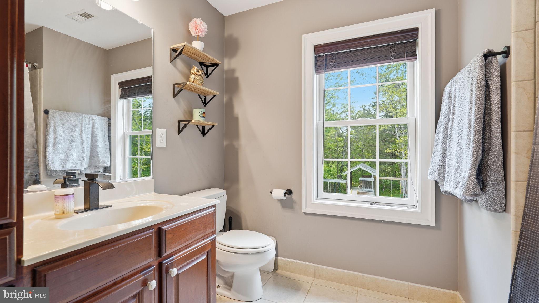 15613 Thoroughfare Road Gainesville, VA 20155 - Photo 34 of 63 a bathroom with a sink a toilet and a mirror
