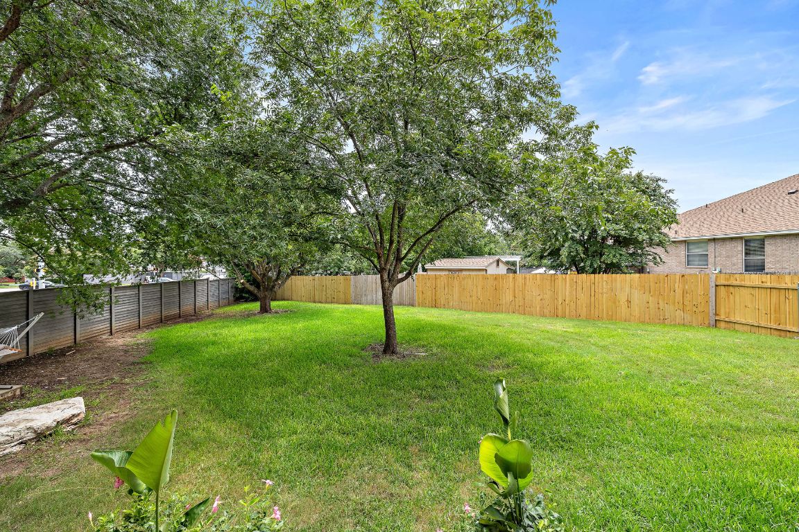 7002 Rambollet Terrace Round Rock, TX 78681 - Photo 35 of 37 a garden view
