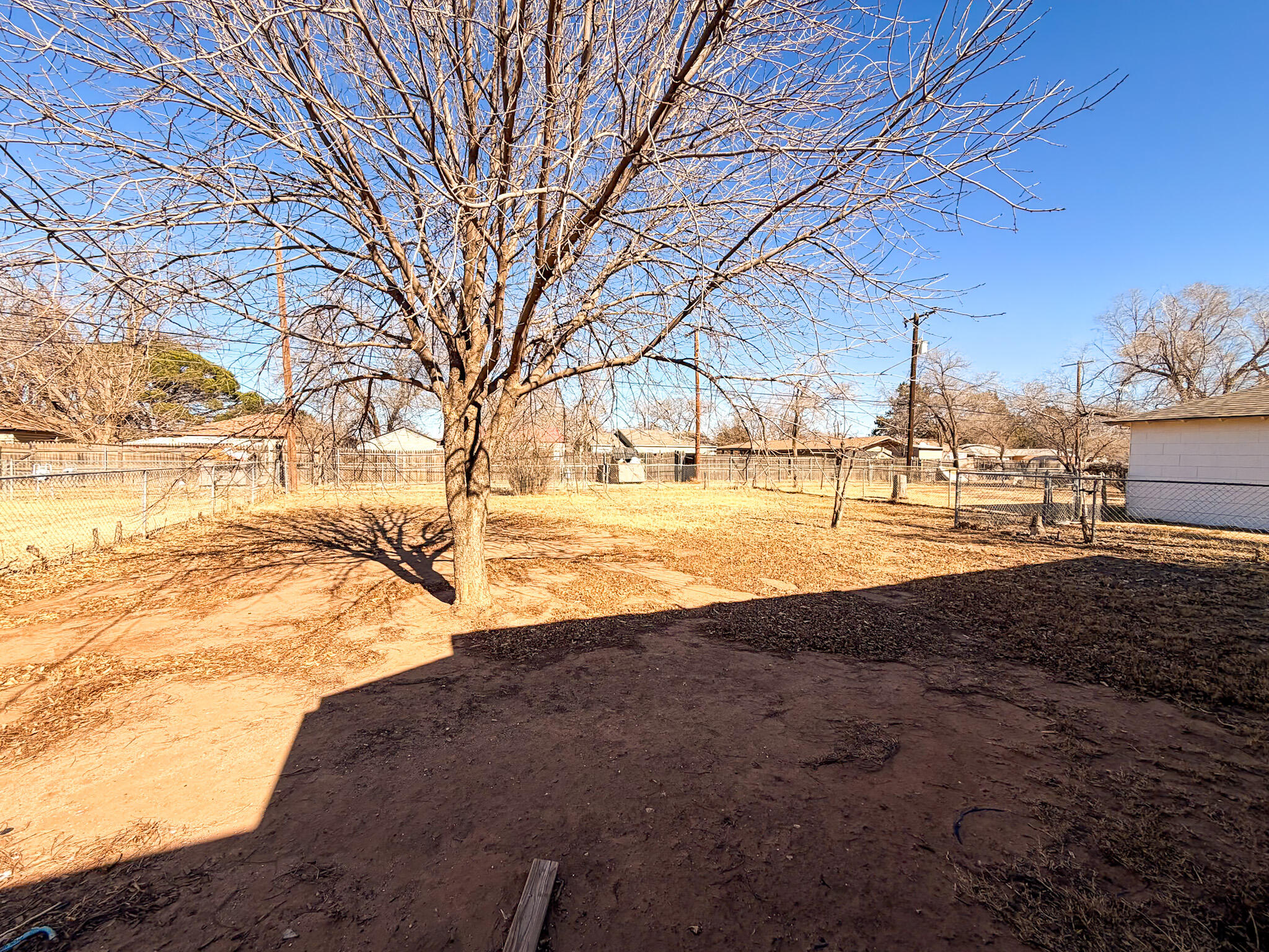 2616 38th Street Lubbock, TX 79413 - Photo 2 of 12 a view of yard with tree in front of it