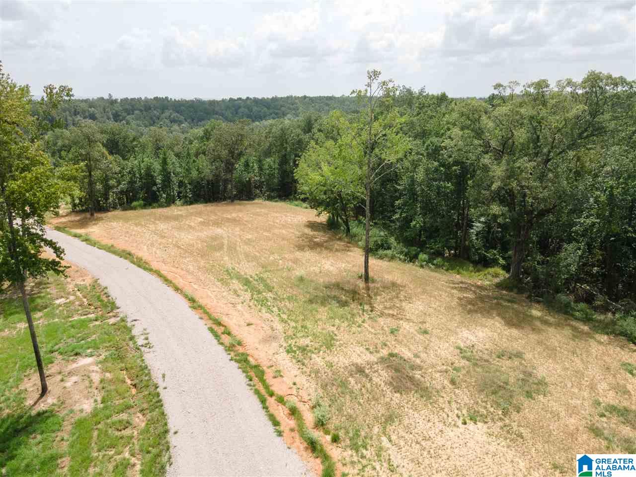 5719 South Shades Crest Road, Unit 2 Helena, AL 35022 - Photo 4 of 15