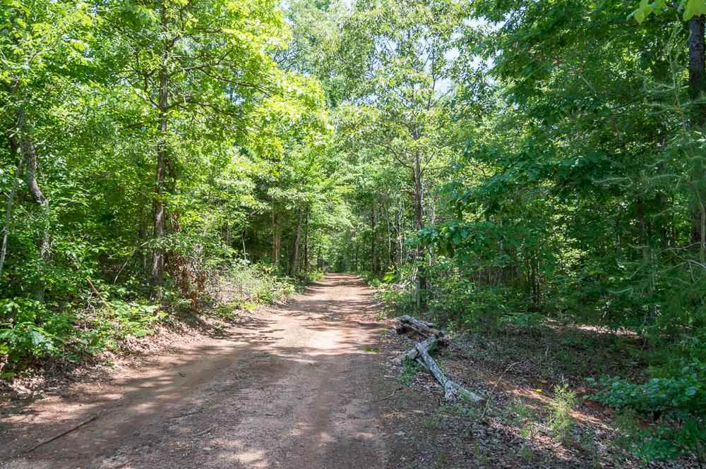 Wildwood Way Walhalla, SC 29691 - Photo 5 of 9