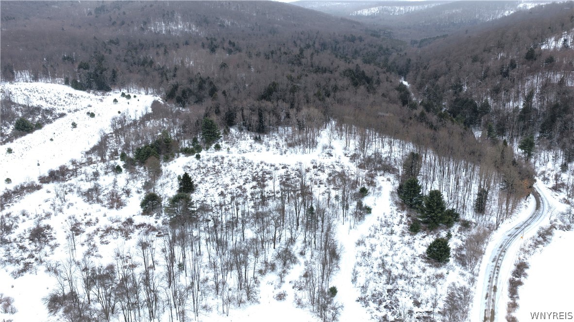 Barker Run Road Great Valley, NY 14741 - Photo 11 of 22