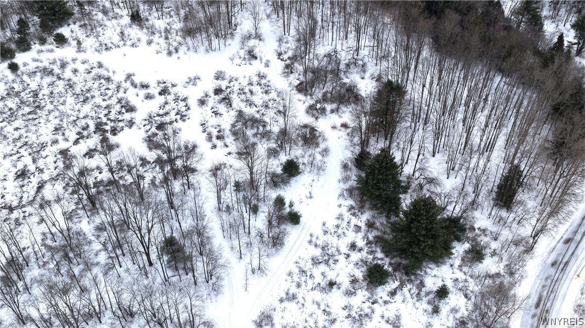 Barker Run Road Great Valley, NY 14741 - Photo 13 of 22