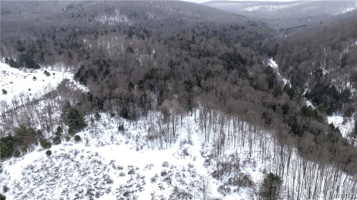 Barker Run Road Great Valley, NY 14741 - Photo 14 of 22