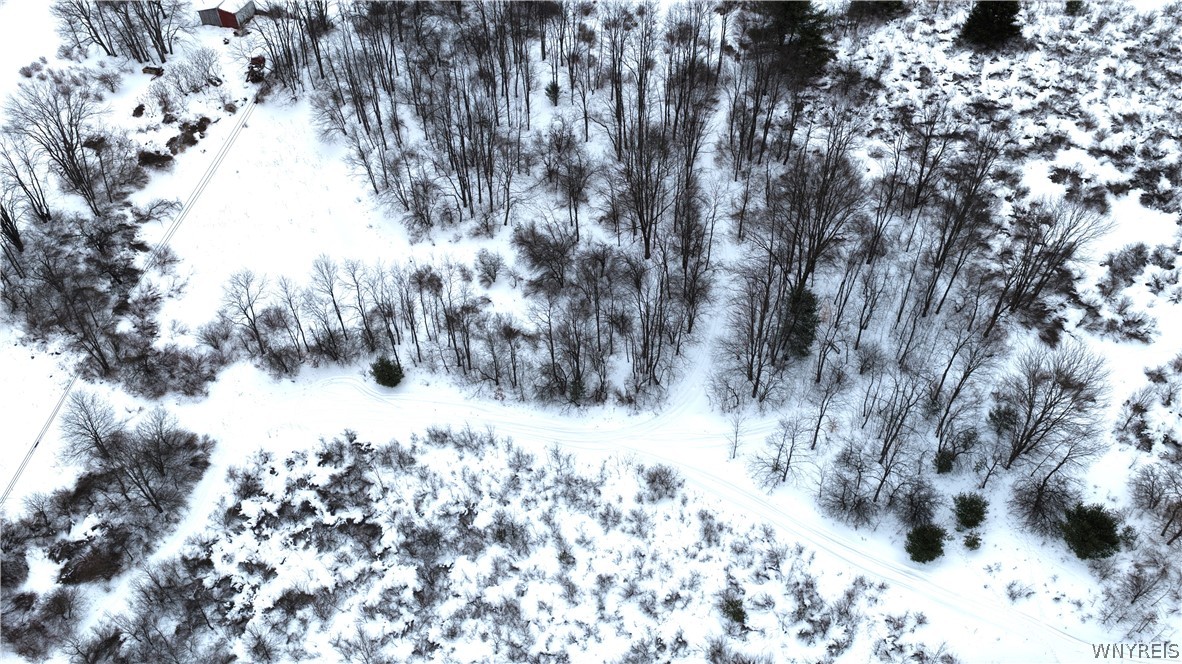 Barker Run Road Great Valley, NY 14741 - Photo 15 of 22