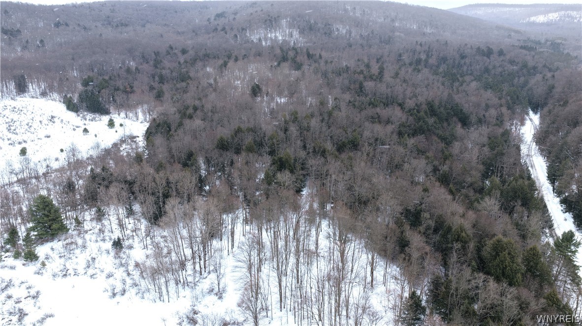 Barker Run Road Great Valley, NY 14741 - Photo 17 of 22