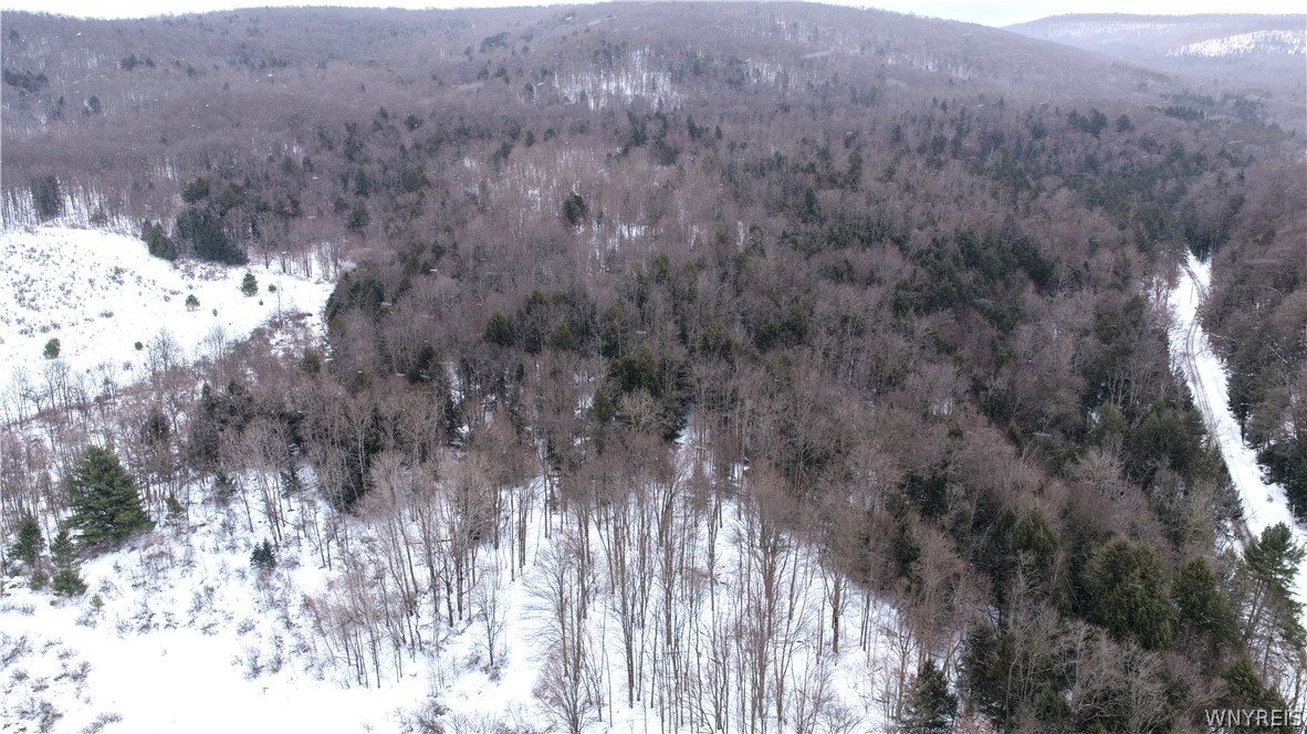 Barker Run Road Great Valley, NY 14741 - Photo 18 of 22