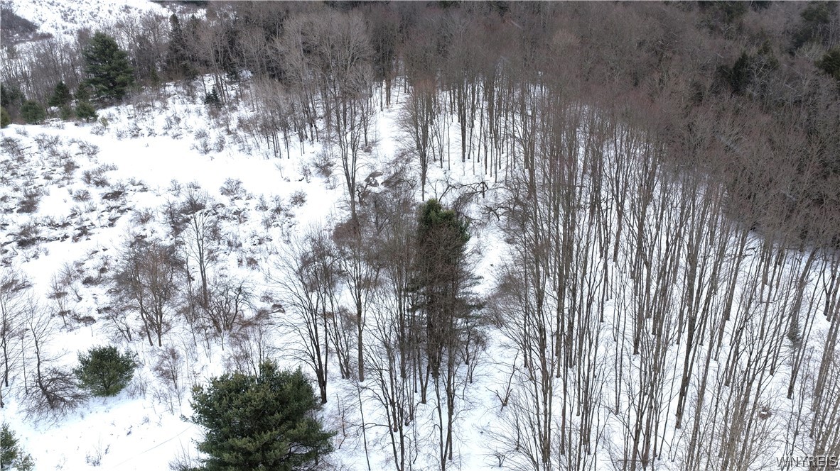 Barker Run Road Great Valley, NY 14741 - Photo 19 of 22