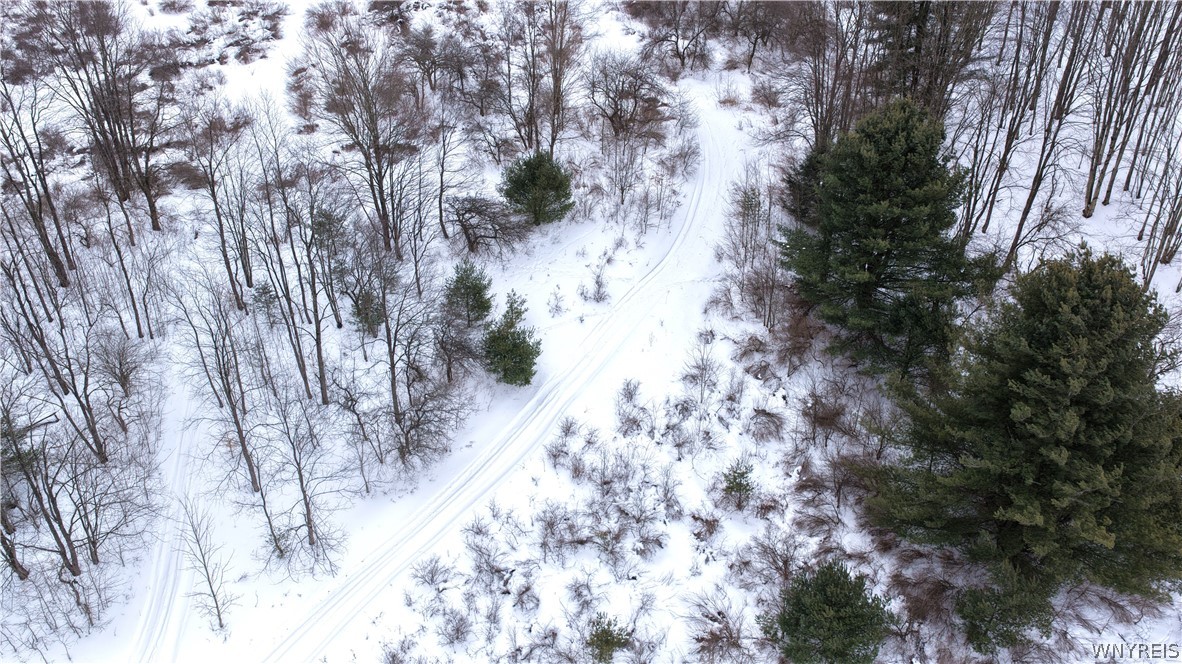 Barker Run Road Great Valley, NY 14741 - Photo 20 of 22