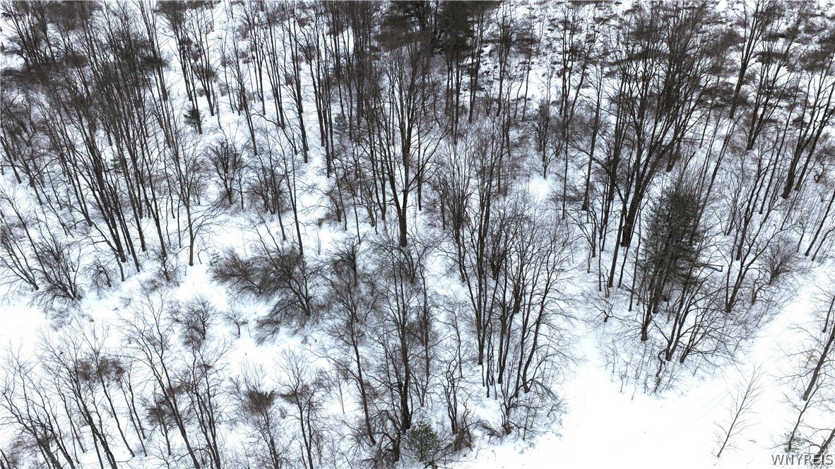 Barker Run Road Great Valley, NY 14741 - Photo 21 of 22