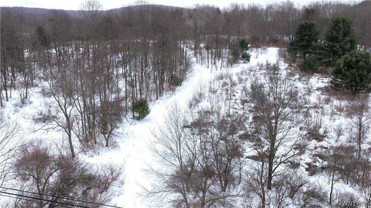 Barker Run Road Great Valley, NY 14741 - Photo 6 of 22