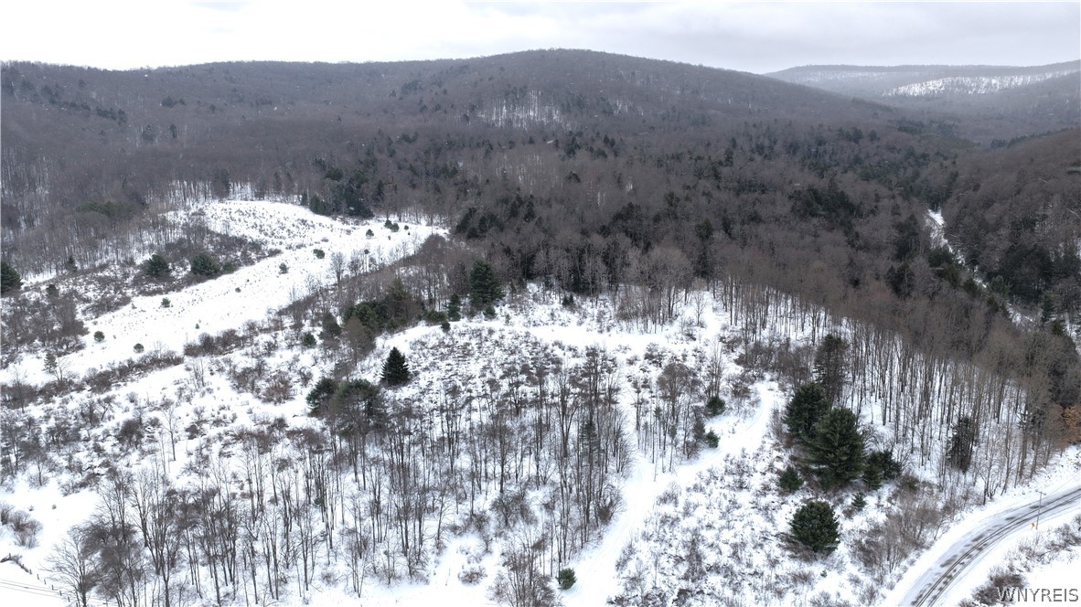 Barker Run Road Great Valley, NY 14741 - Photo 8 of 22