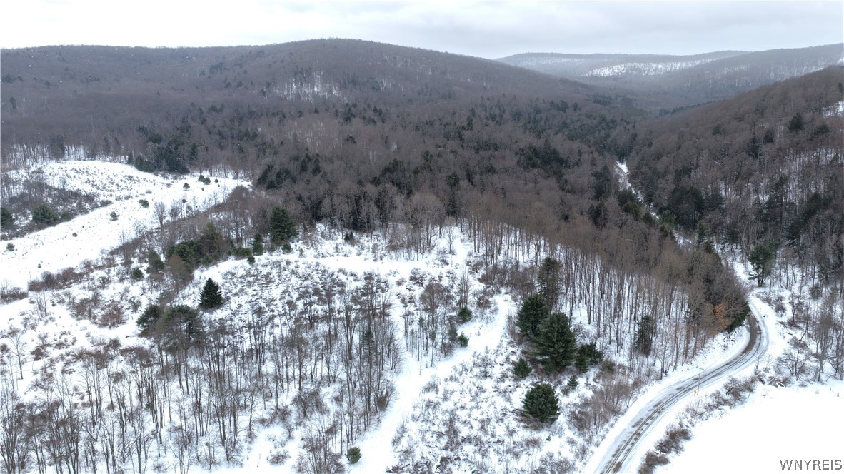 Barker Run Road Great Valley, NY 14741 - Photo 9 of 22