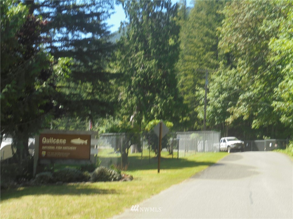 473 Cougar Run Road Quilcene, WA 98376 - Photo 11 of 12 Gallery Image 11