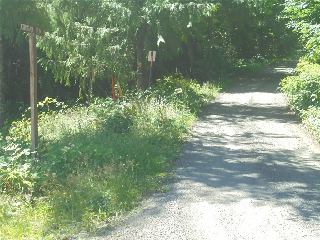 473 Cougar Run Road Quilcene, WA 98376 - Photo 12 of 12 Gallery Image 12