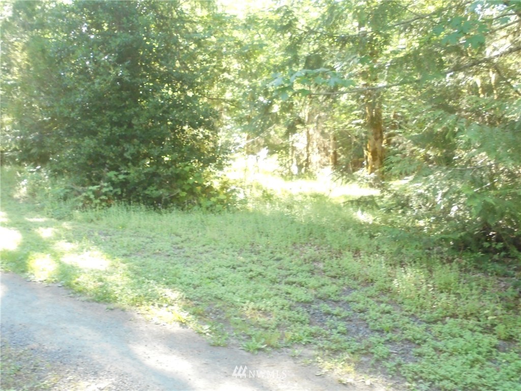 473 Cougar Run Road Quilcene, WA 98376 - Photo 9 of 12 Gallery Image 9