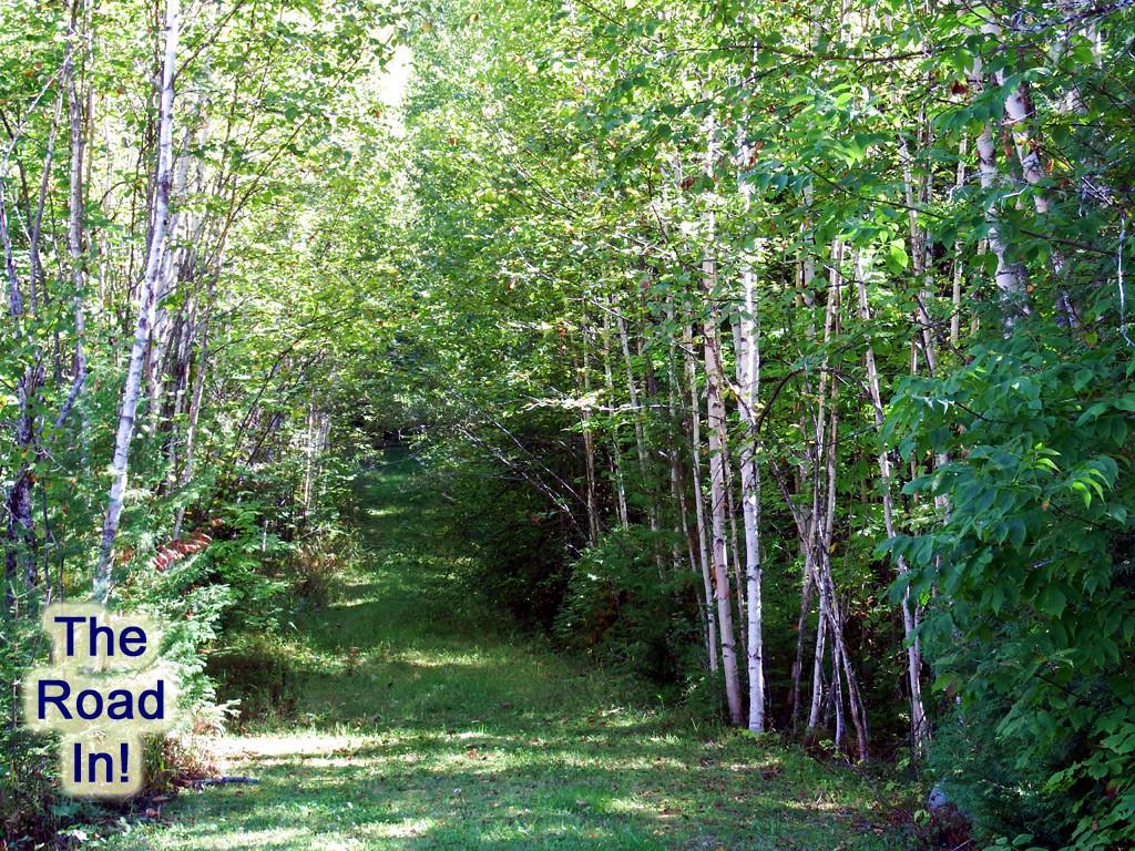 Lot 17 Haney Road Danforth, ME 04424 - Photo 6 of 21 Photo
