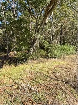 $115,000 | 0 Bell Road, Batson, TX 77519