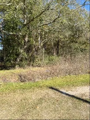 $115,000 | 0 Bell Road, Batson, TX 77519