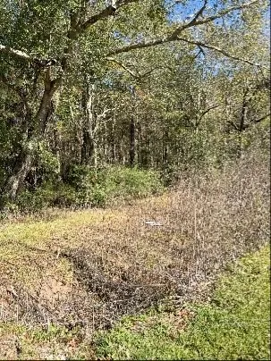 $115,000 | 0 Bell Road, Batson, TX 77519