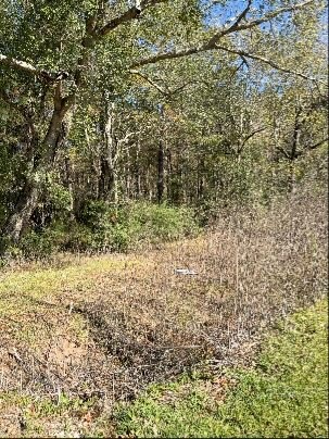 0 Bell Road Batson, TX 77519 - Photo 3 of 4