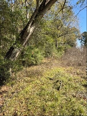 0 Bell Road Batson, TX 77519 - Photo 4 of 4