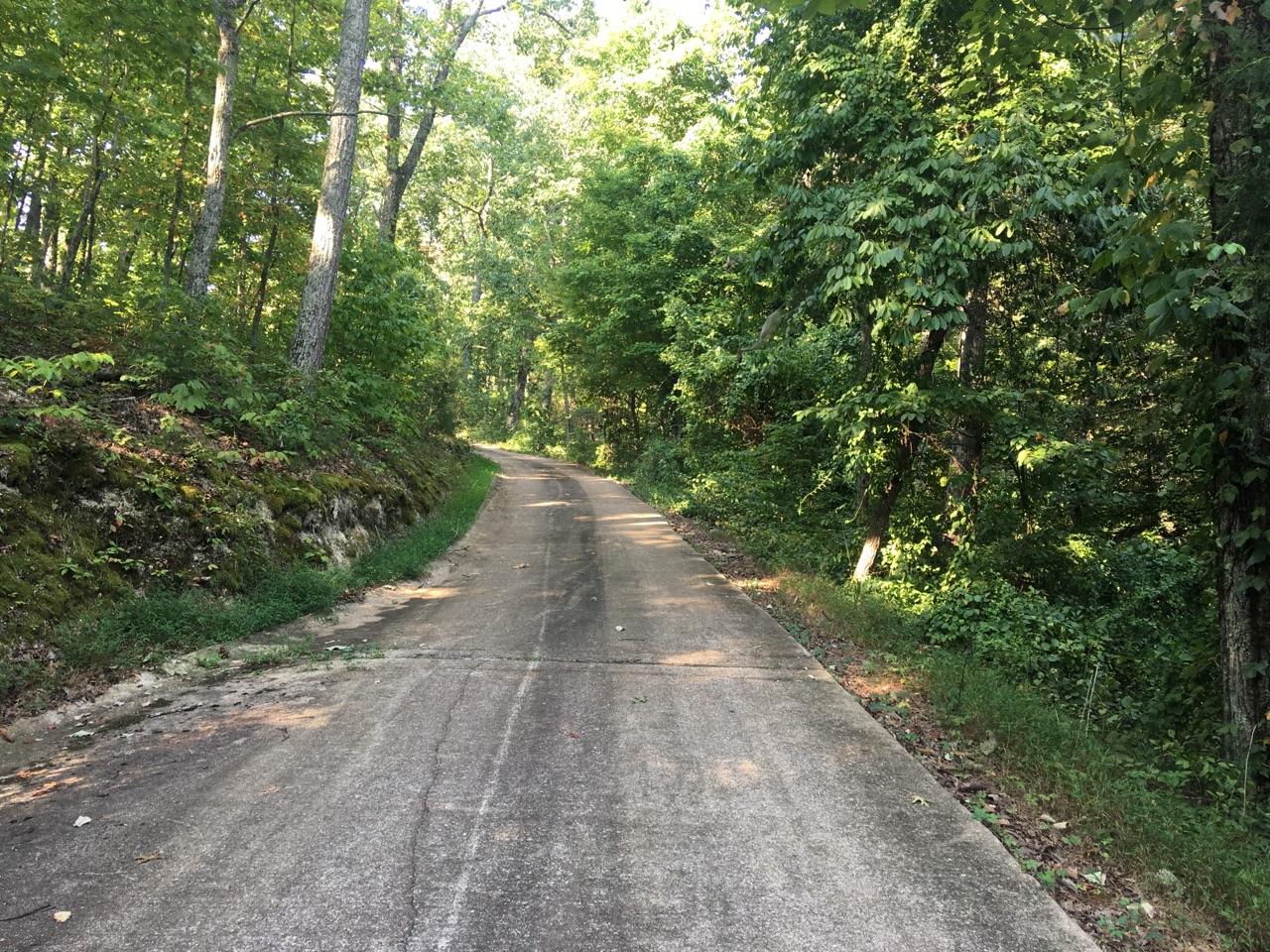 6425-6427 Hunter Road Harrison, TN 37341 - Photo 11 of 14 IMG_1262
