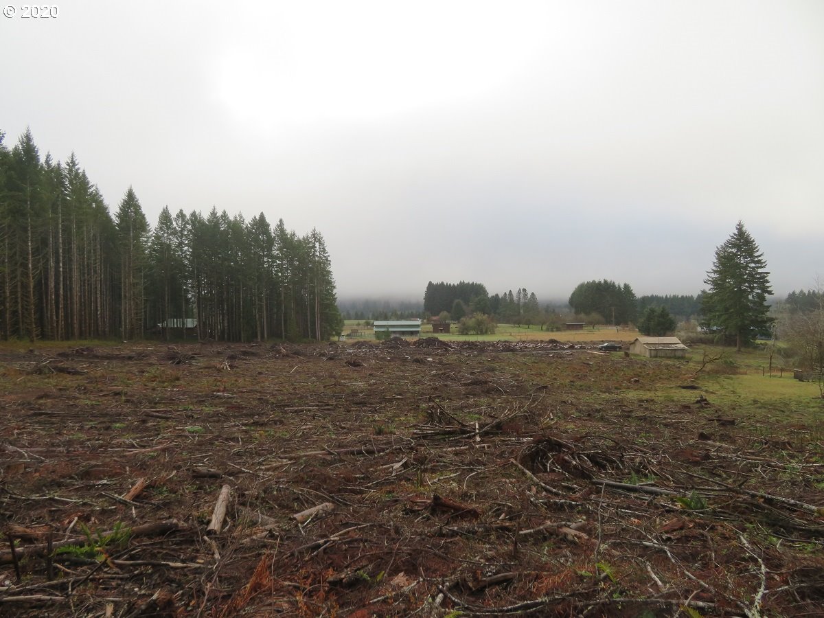 Kobe Road Chehalis, WA 98532 - Photo 12 of 30