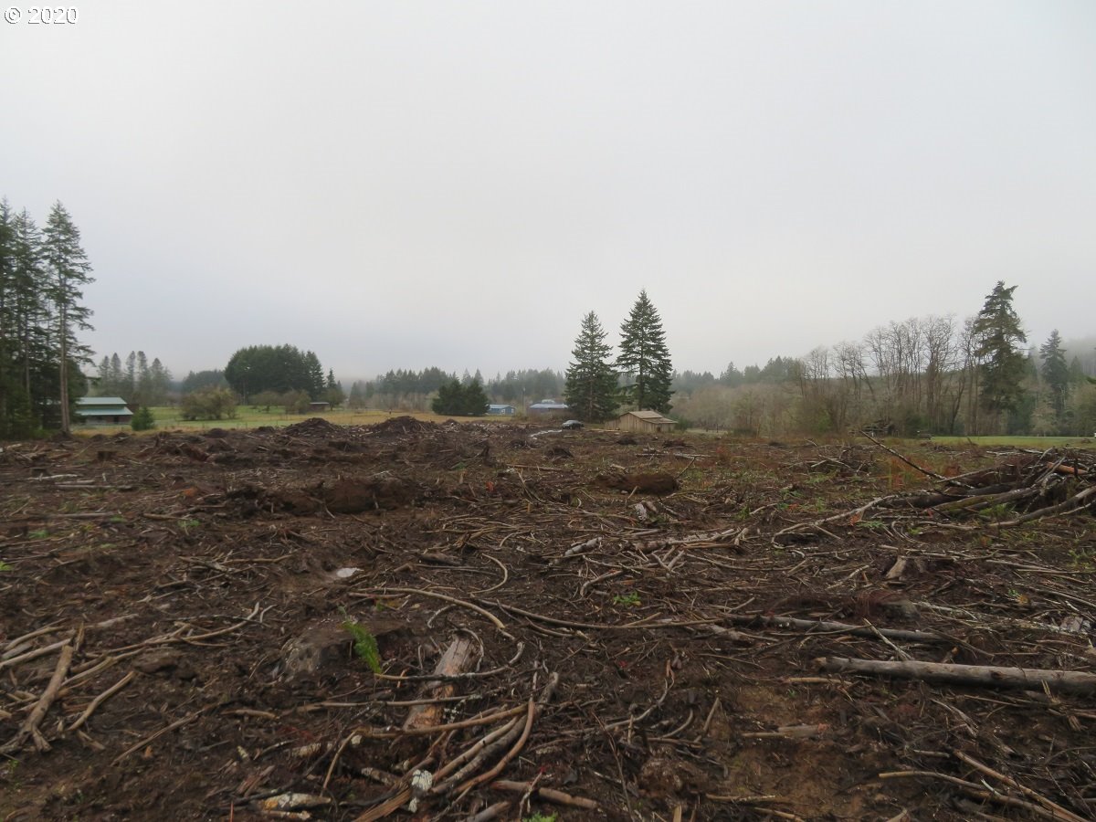Kobe Road Chehalis, WA 98532 - Photo 13 of 30