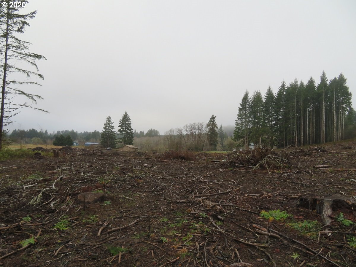 Kobe Road Chehalis, WA 98532 - Photo 18 of 30