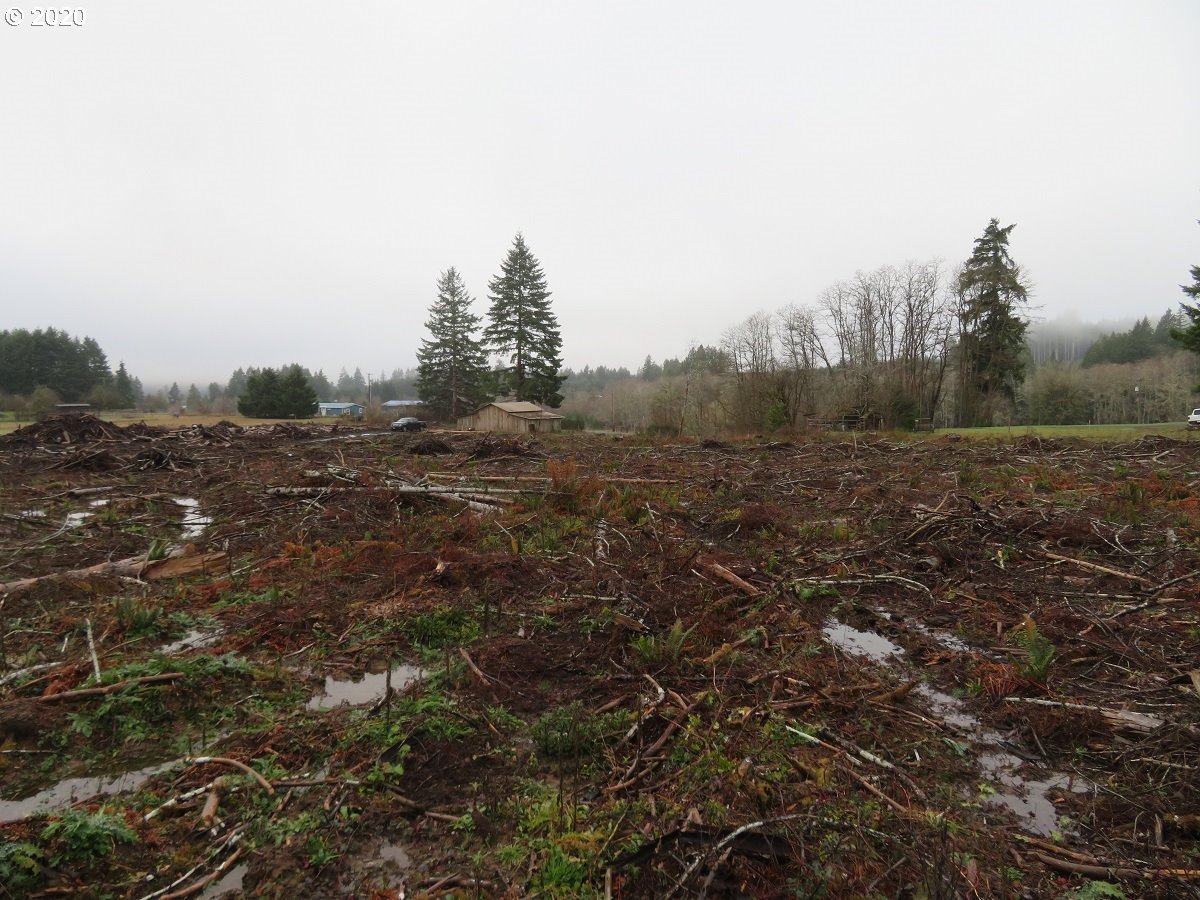 Kobe Road Chehalis, WA 98532 - Photo 19 of 30