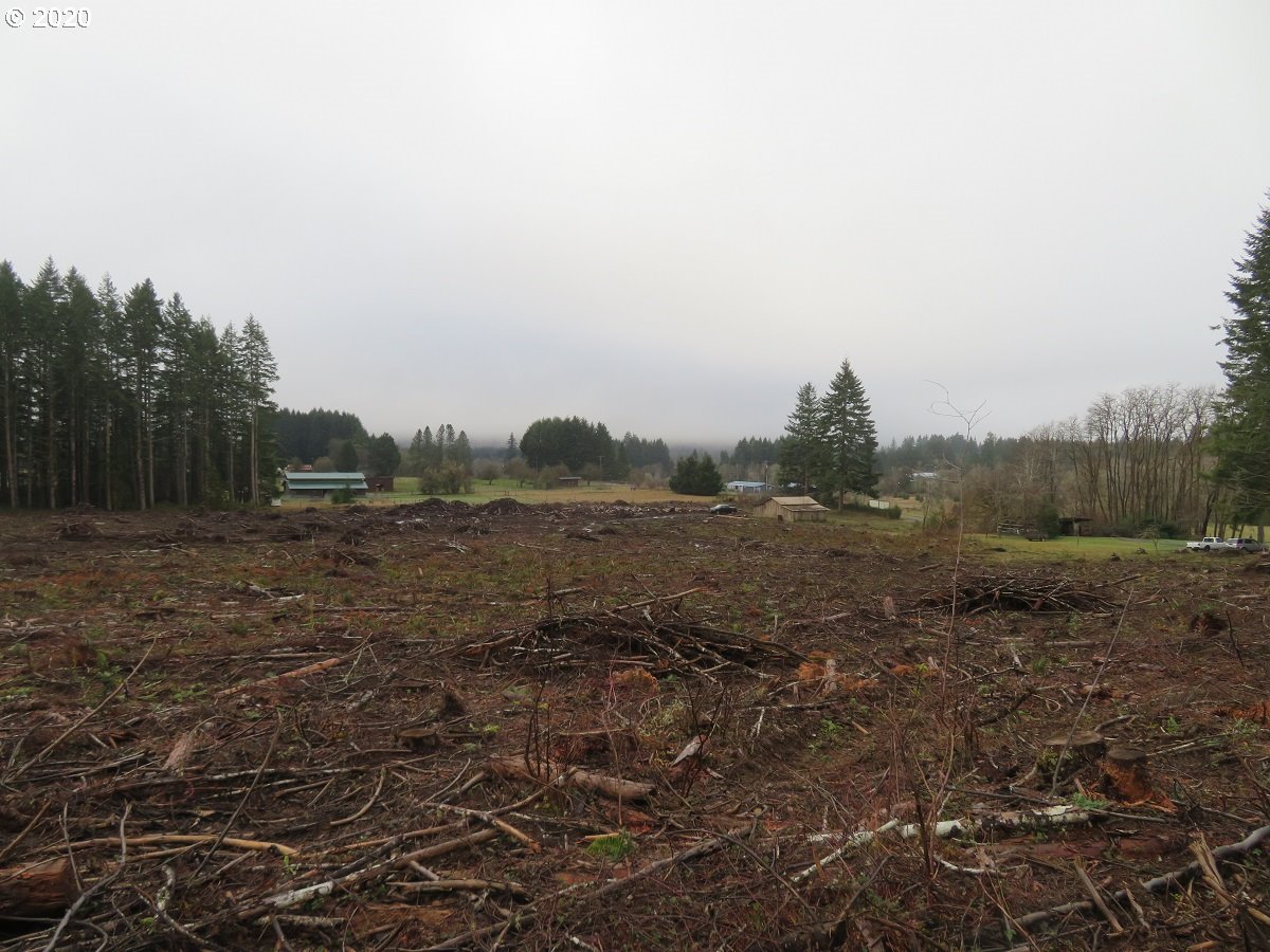 Kobe Road Chehalis, WA 98532 - Photo 3 of 30