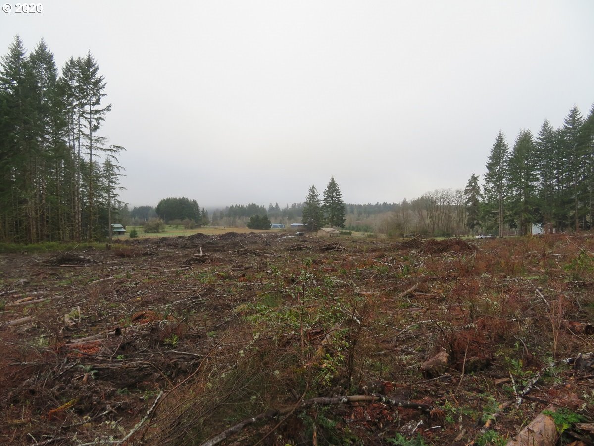 Kobe Road Chehalis, WA 98532 - Photo 24 of 30