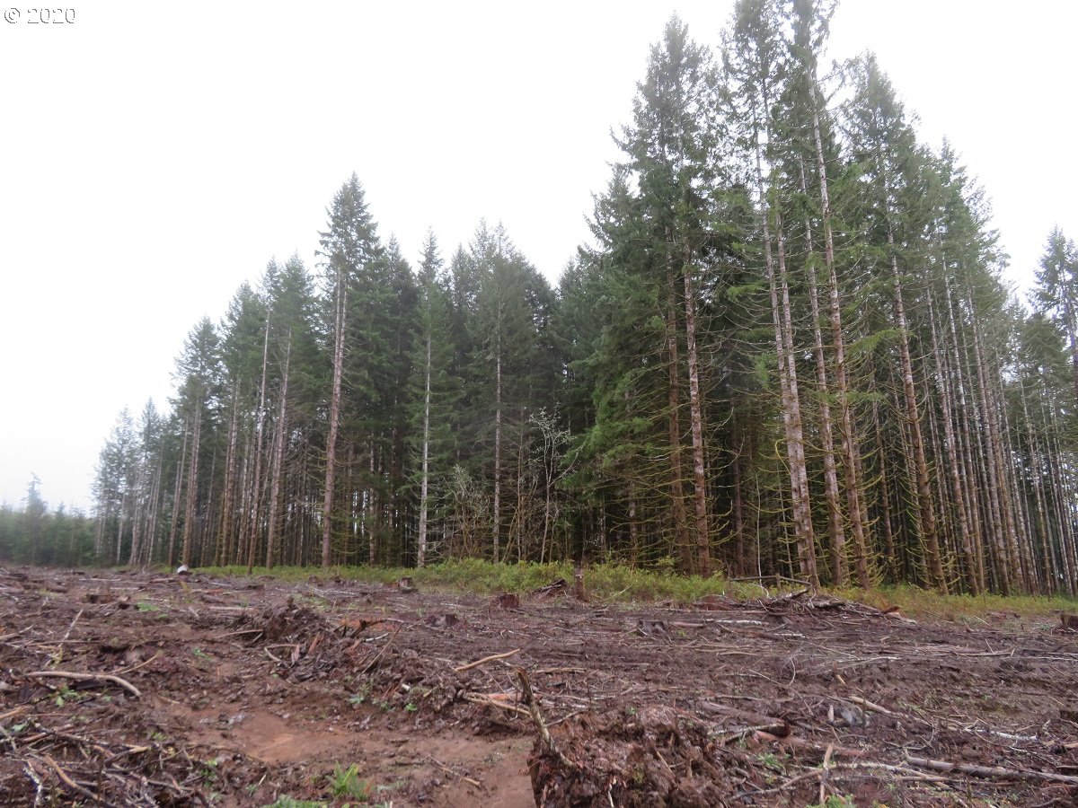 Kobe Road Chehalis, WA 98532 - Photo 26 of 30
