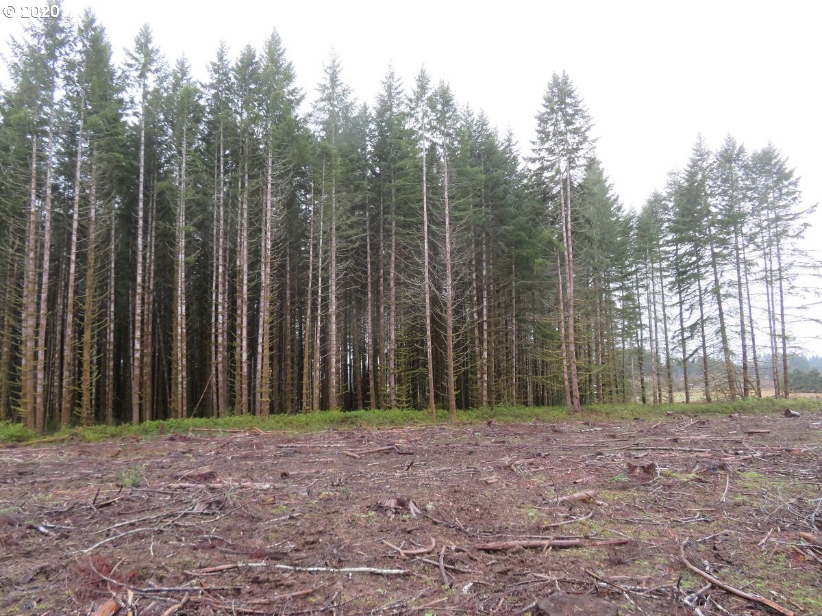 Kobe Road Chehalis, WA 98532 - Photo 6 of 30