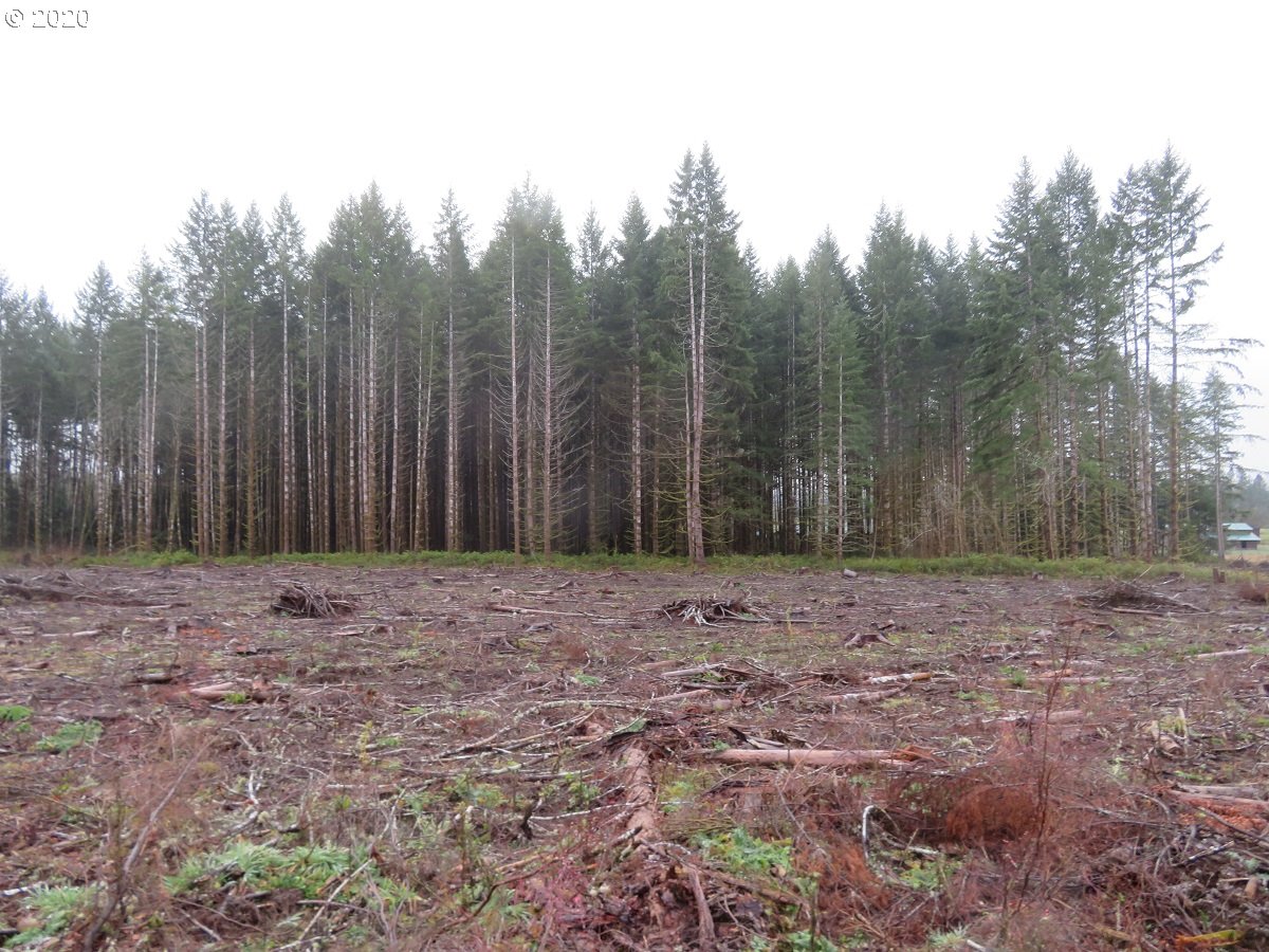 Kobe Road Chehalis, WA 98532 - Photo 9 of 30