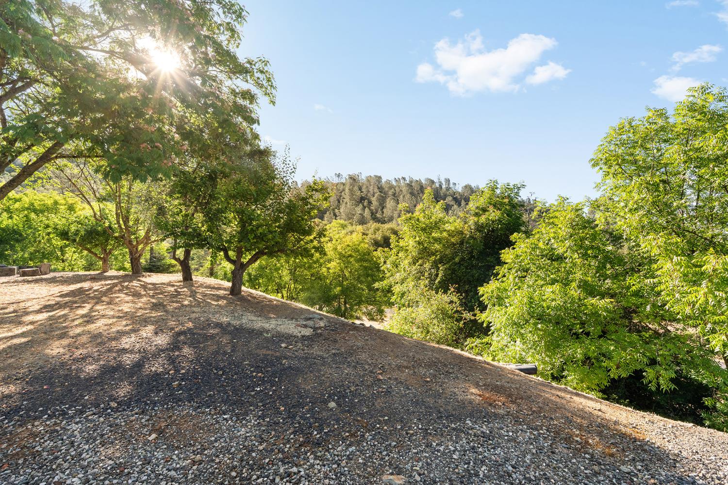 1484 Oregon Gulch Road Oroville, CA 95965 - Photo 33 of 78