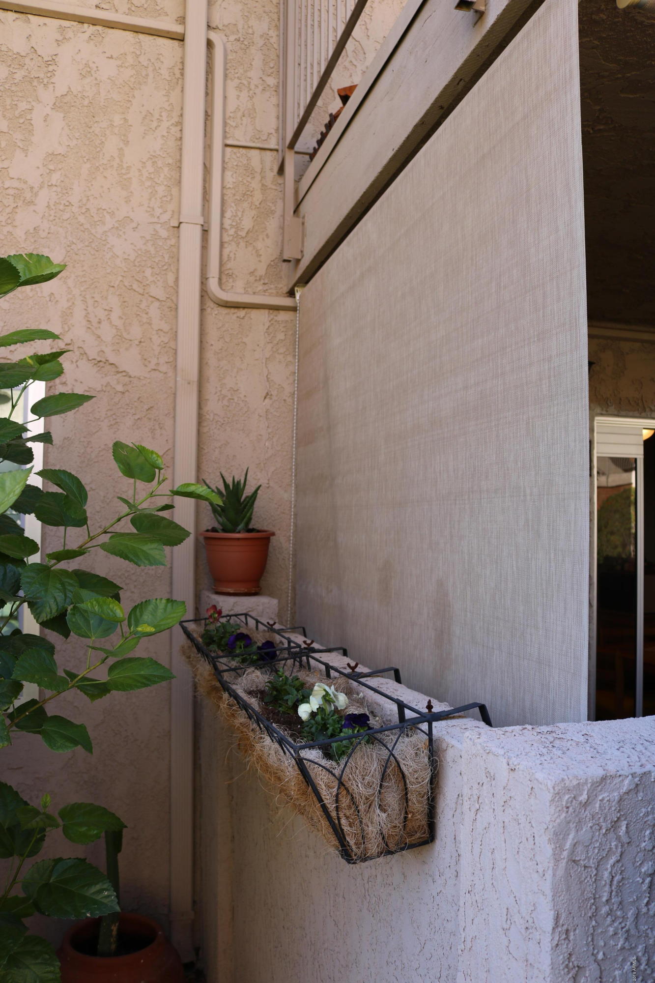 5525 East Thomas Road, Unit 2 Phoenix, AZ 85018 - Photo 12 of 22 IMG_0430