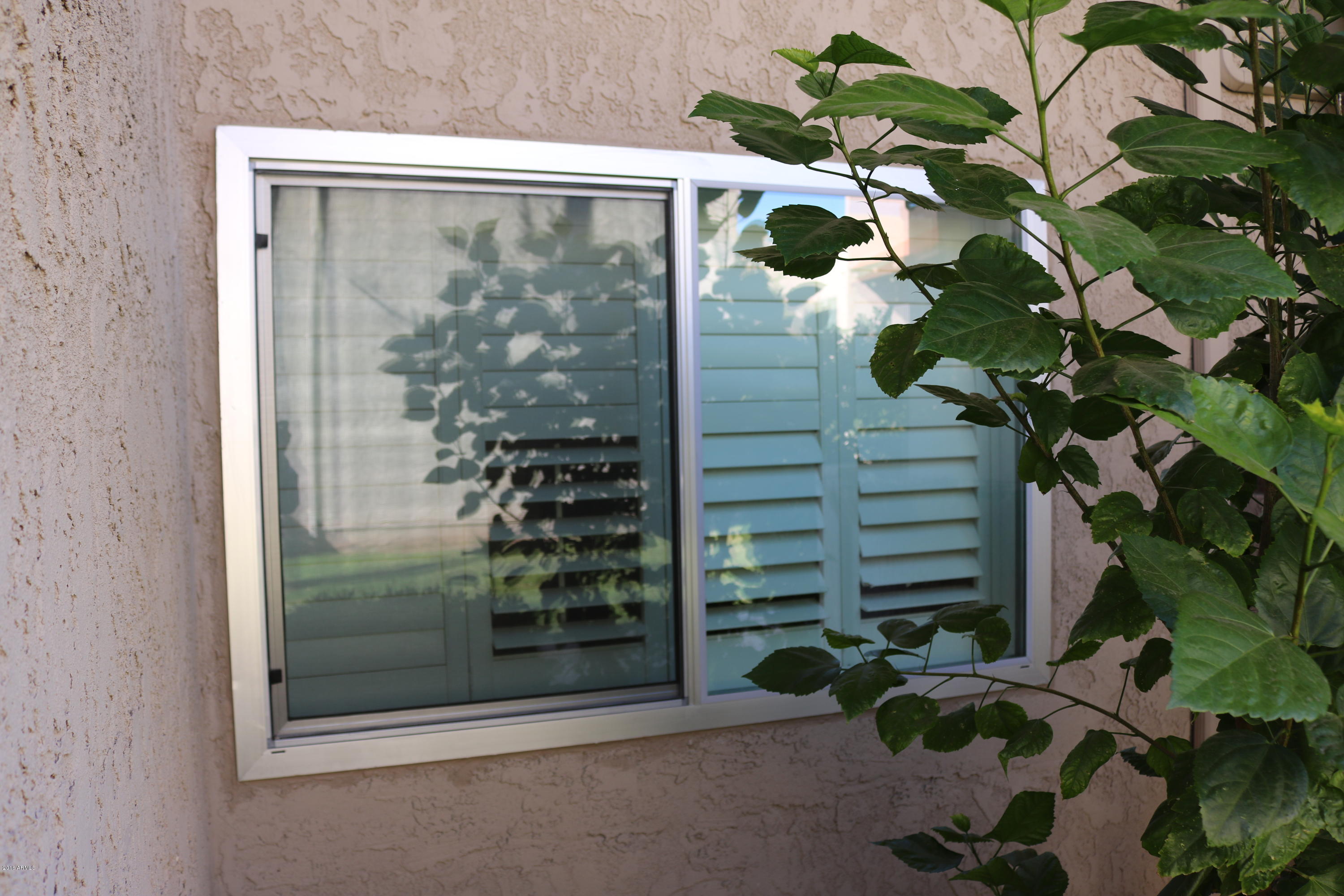 5525 East Thomas Road, Unit 2 Phoenix, AZ 85018 - Photo 9 of 22 IMG_0427