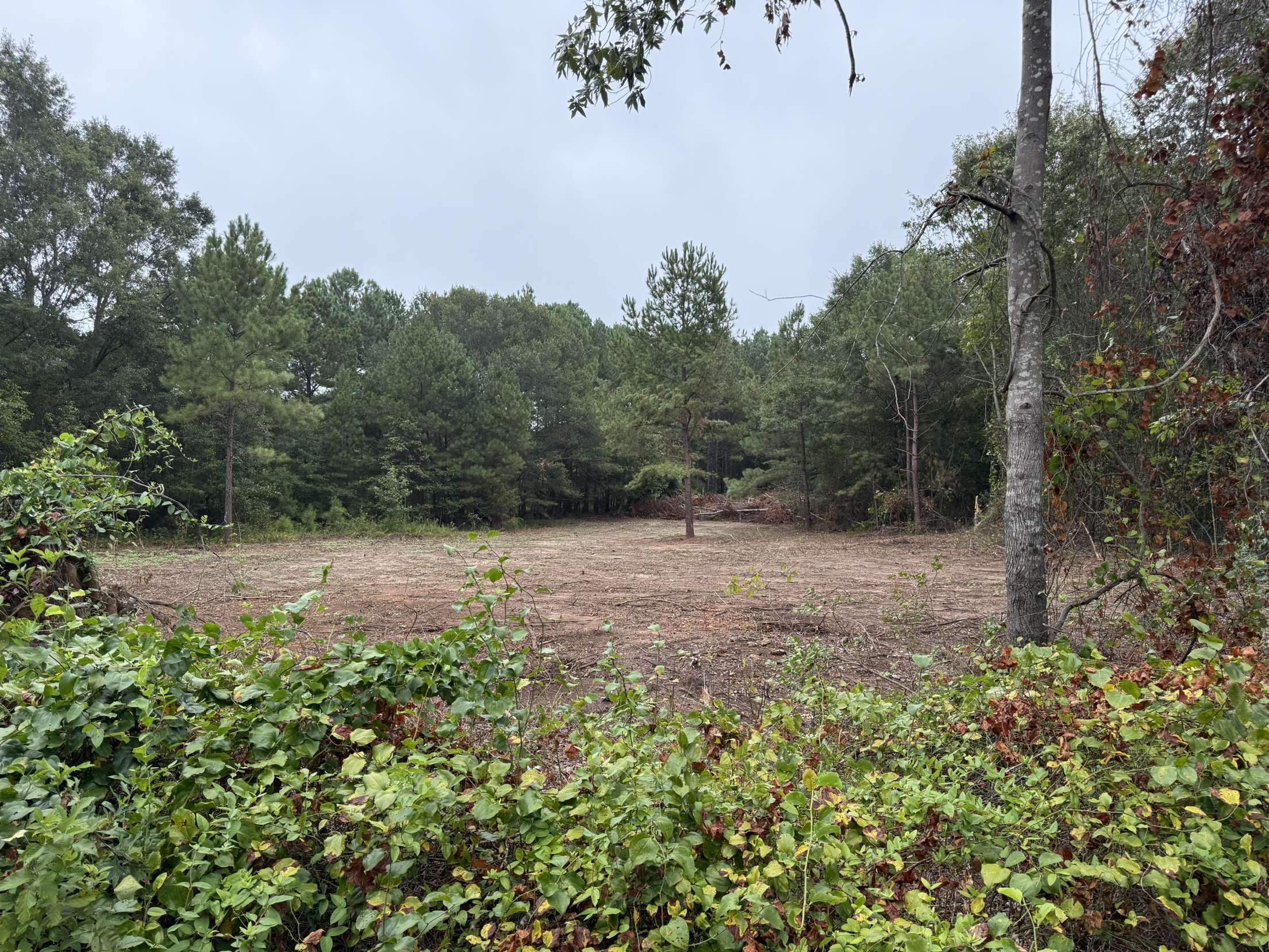 229 Holly Road Chesnee, SC 29323 - Photo 1 of 6