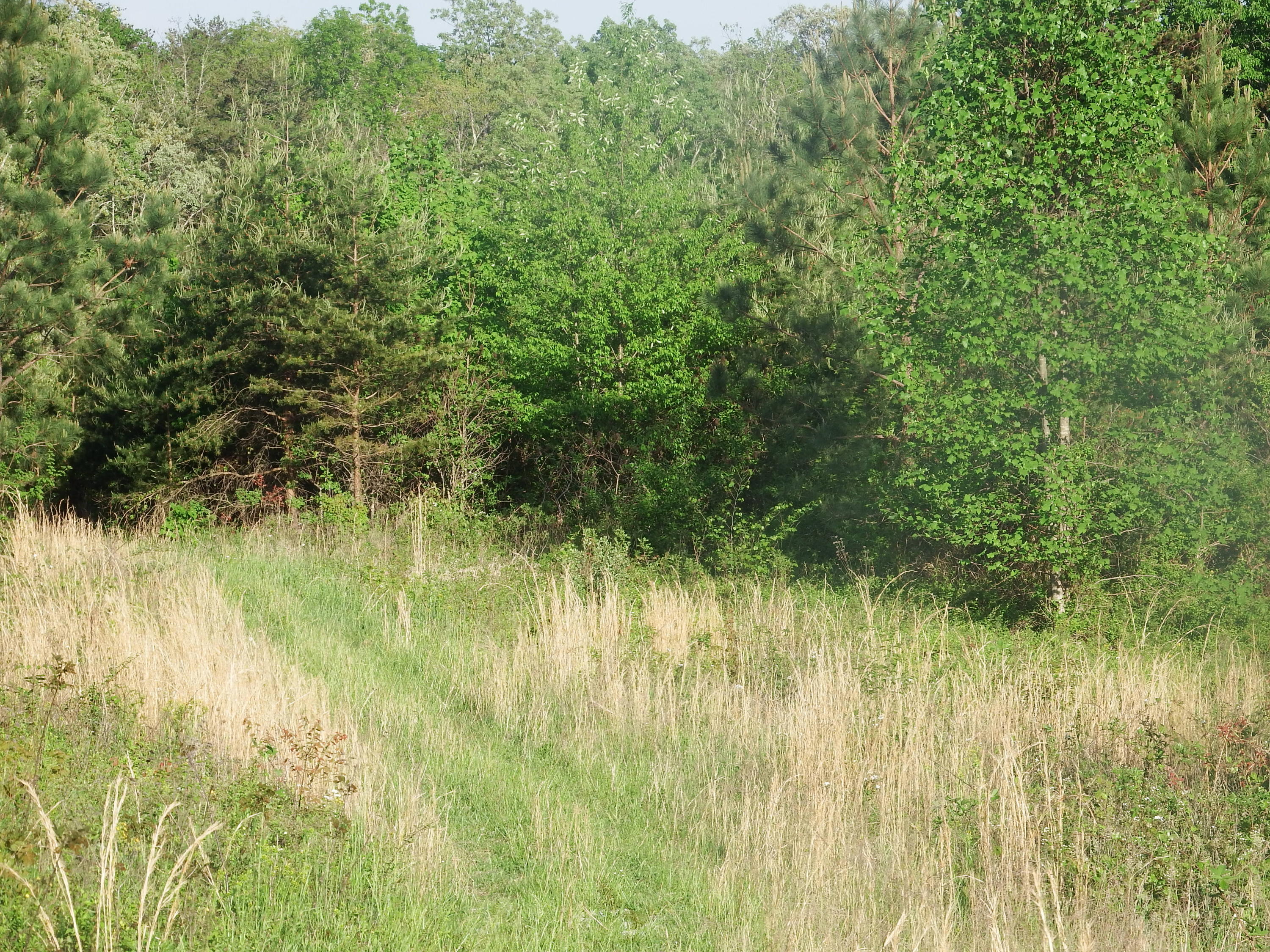 0 Fredonia Road, Unit 24 Dunlap, TN 37327 - Photo 1 of 15 DSCF2517