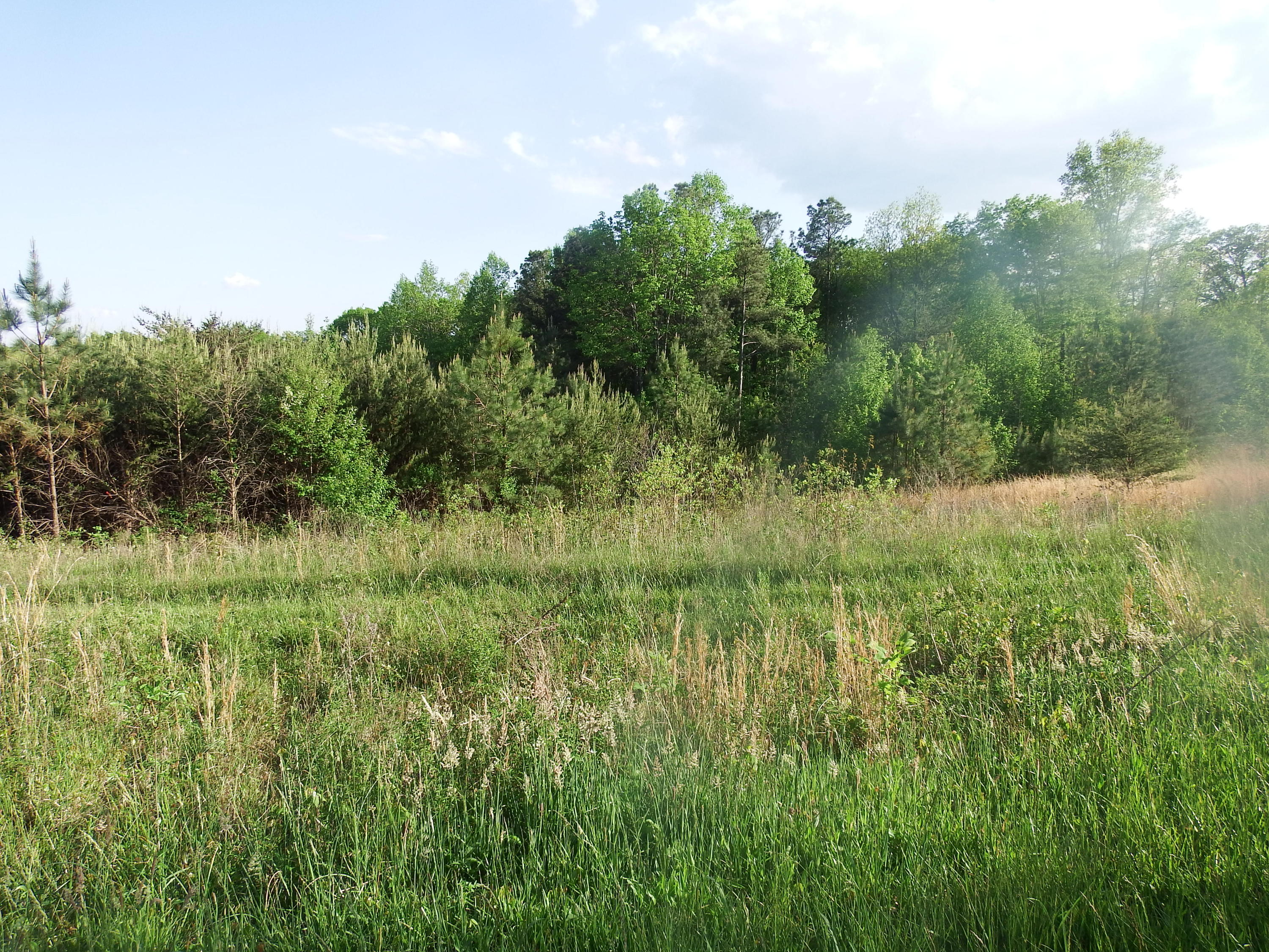 0 Fredonia Road, Unit 24 Dunlap, TN 37327 - Photo 11 of 15 DSCF2524