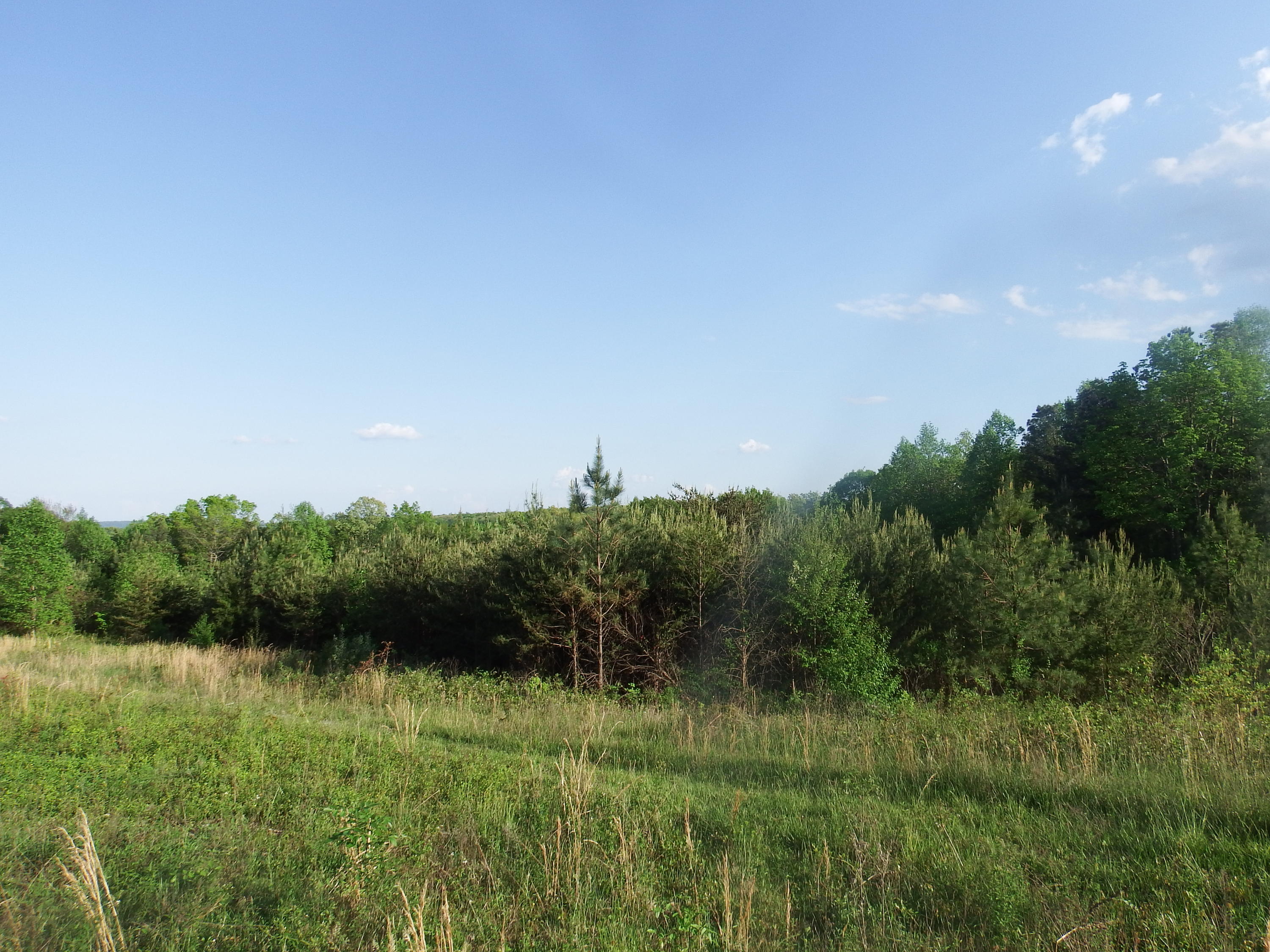 0 Fredonia Road, Unit 24 Dunlap, TN 37327 - Photo 13 of 15 DSCF2526
